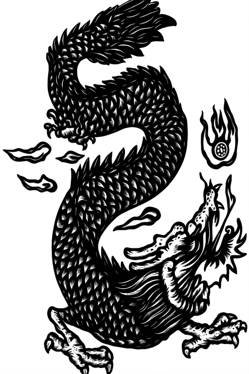 Nosotros dragón negro 500